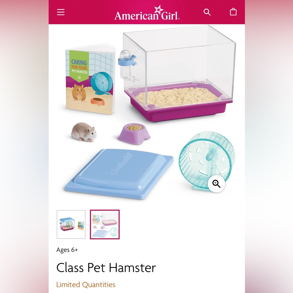 American Girl Doll Class Pet Hamster